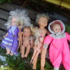 Новая жизнь