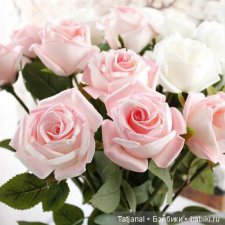 От всей души  хотим поздравить с Днем Матери