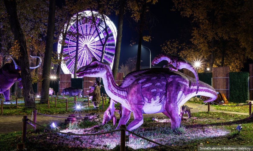 Новая страница. Экскурсия-знакомство