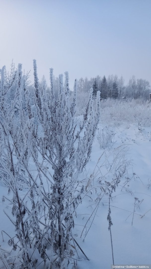 Новая страница. Решение Карины (фото 3)