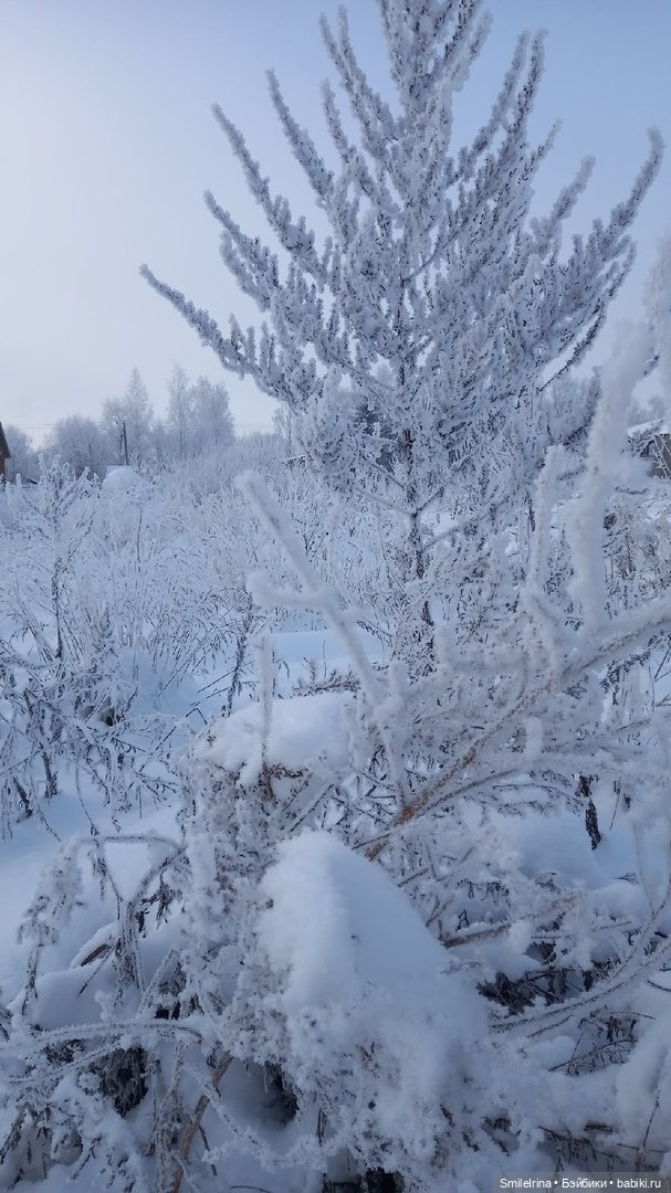 Новая страница. Решение Карины (фото 2)