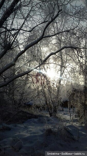 Новая страница. Решение Карины