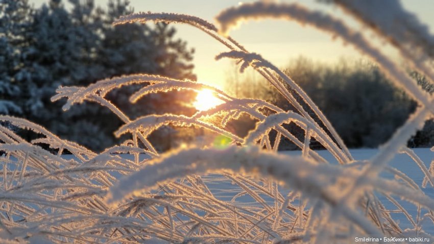 Новая страница. Решение Карины