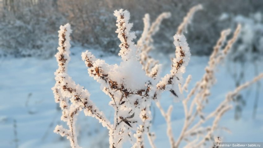 Новая страница. Решение Карины (фото 4)