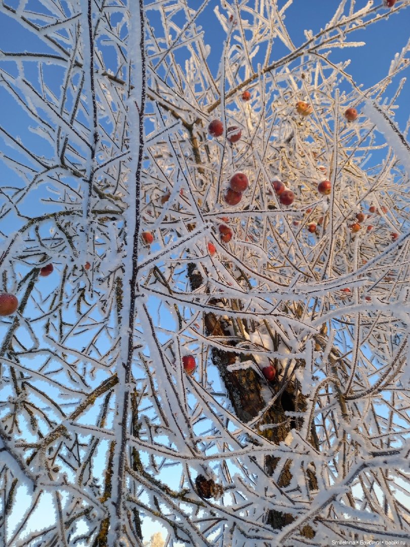 Новая страница. Решение Карины (фото 5)