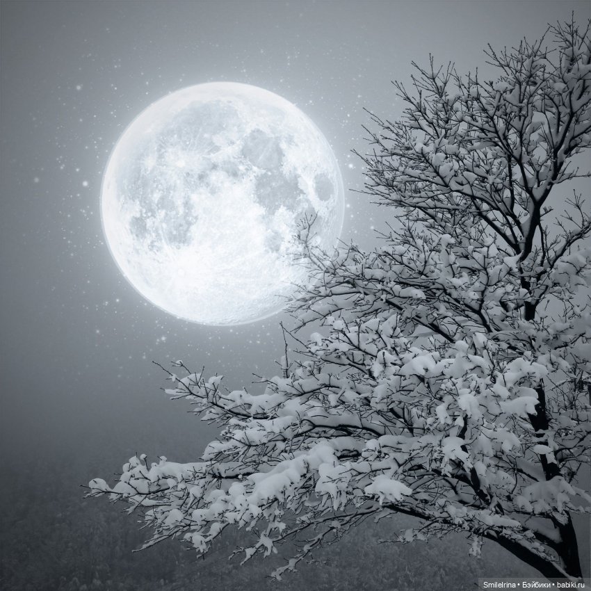 Новая страница. Сюрприз от Марка