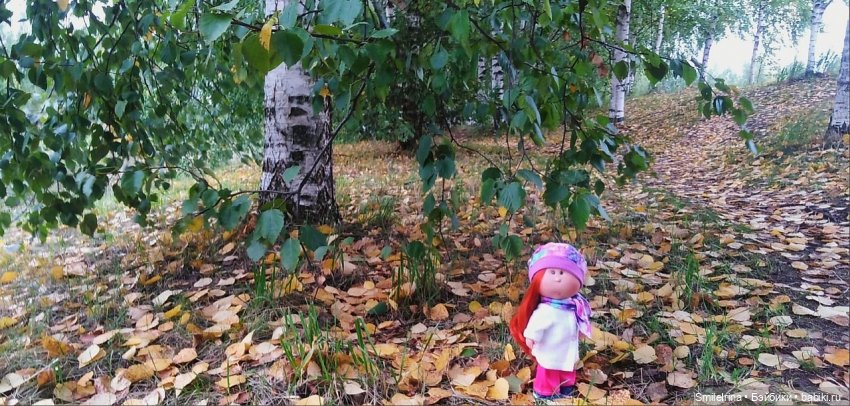 Брожу, брожу по сентябрю, неспешно листья приминаю (фото 2)