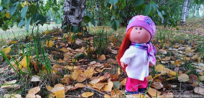 Брожу, брожу по сентябрю, неспешно листья приминаю (фото 3)