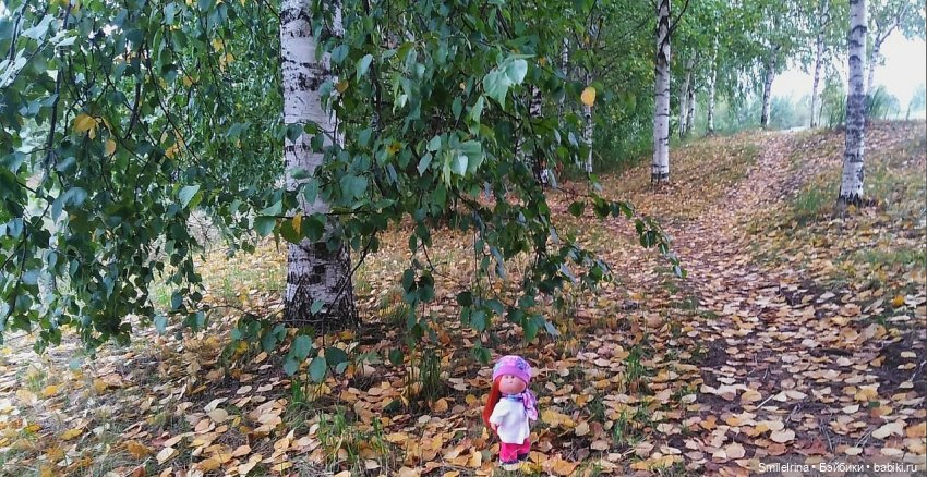 Брожу, брожу по сентябрю, неспешно листья приминаю