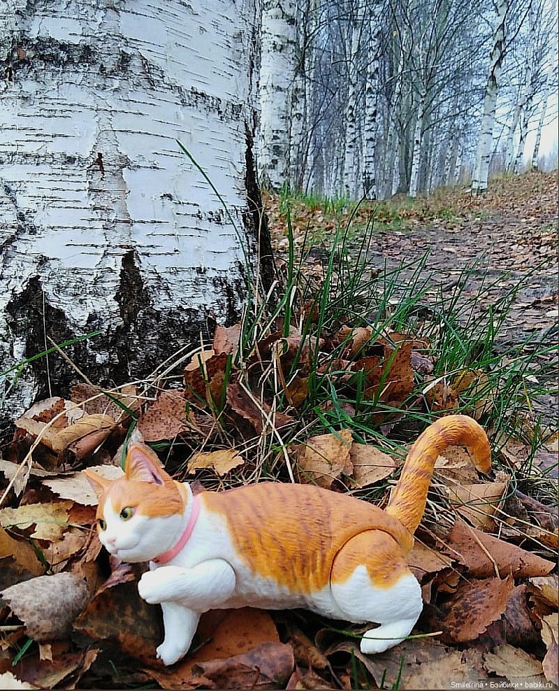 Неожиданная встреча — Куклы Nines d'Onil (Нинес): Миа (Mia) (фото 5)