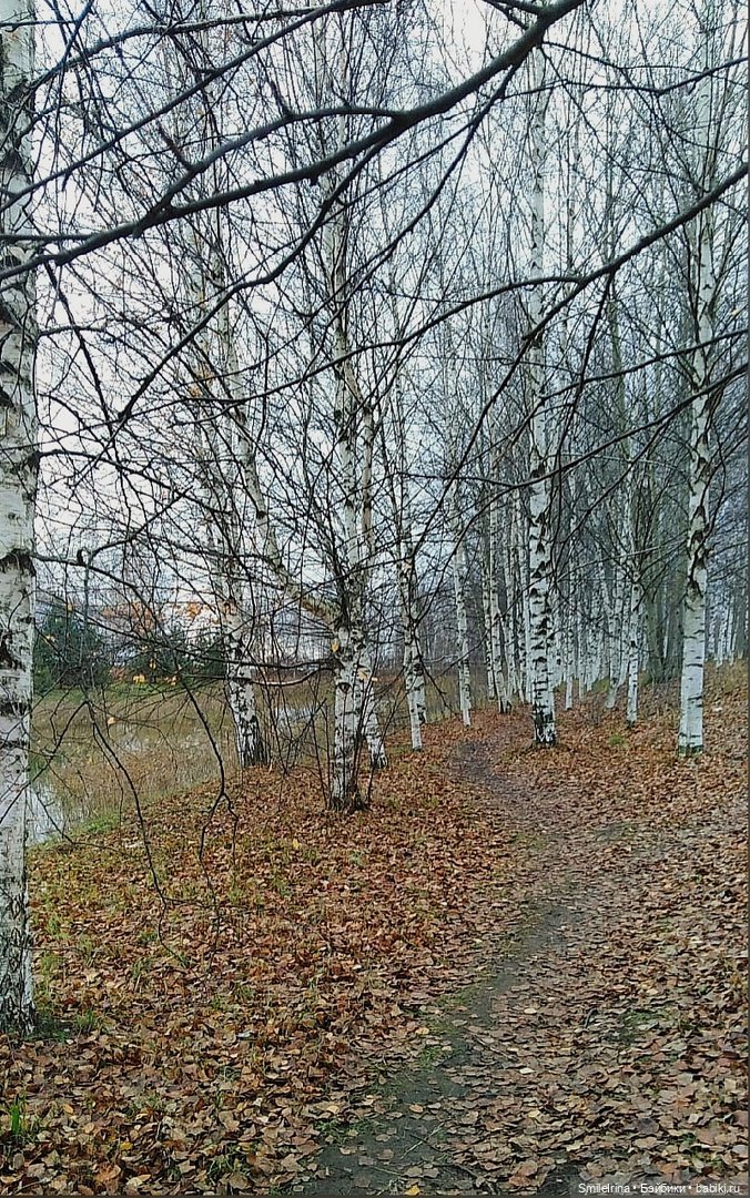 Неожиданная встреча — Куклы Nines d'Onil (Нинес): Миа (Mia) (фото 2)