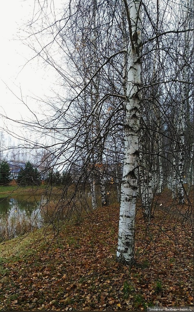 Неожиданная встреча — Куклы Nines d'Onil (Нинес): Миа (Mia)