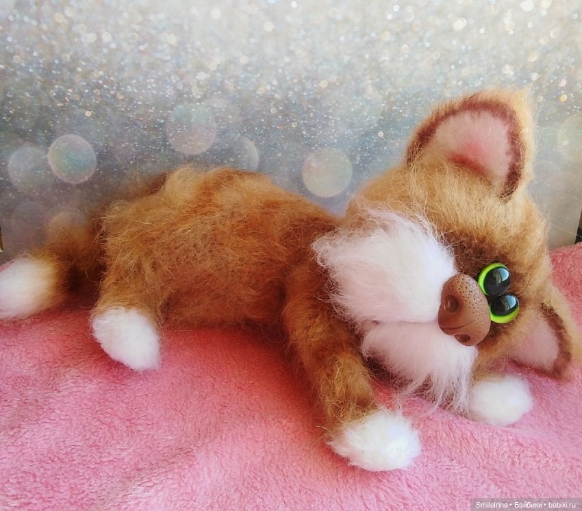 Без кота и жизнь не та, правда, правда