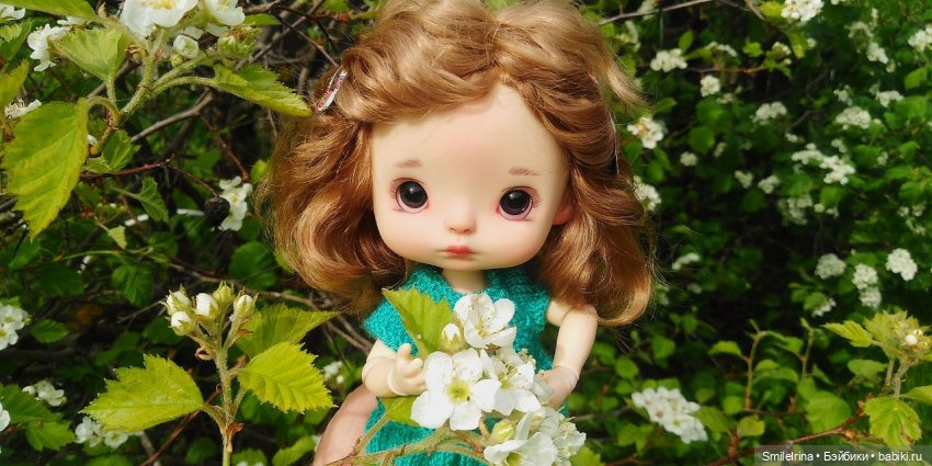 А у нас зацвёл шиповник — Азиатские виниловые куклы (разное): Китай (фото 2)