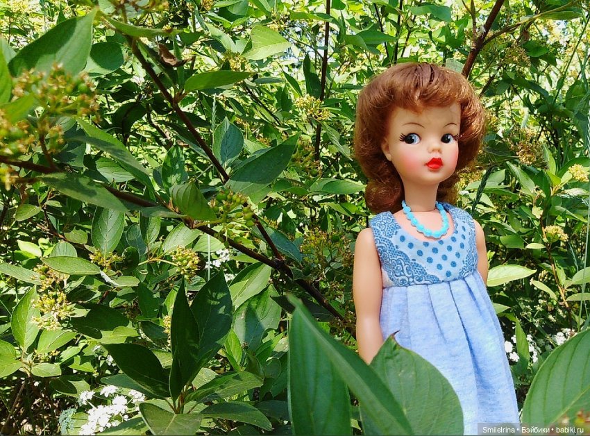 Томочка на прогулке — Куклы Sindy (Синди) и Tammy (Тамми): винтаж (фото 5)