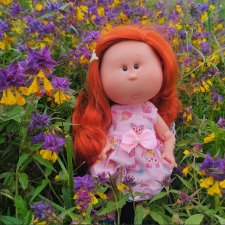 Полевые цветы