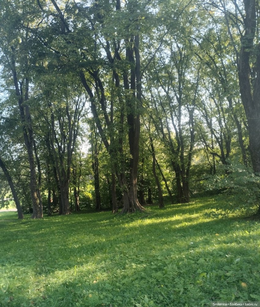 Дора. Немного о себе — Фэшн