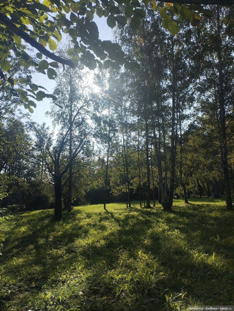 Дора. Немного о себе — Фэшн