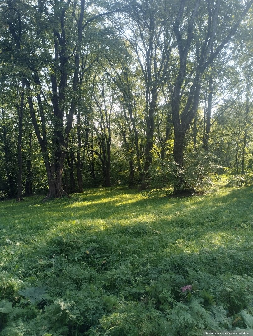 Дора. Немного о себе — Фэшн