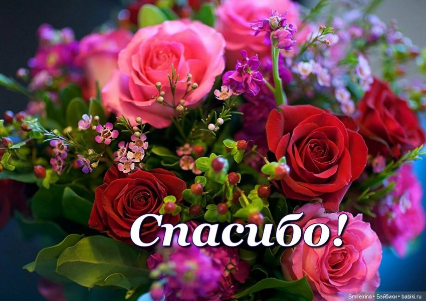 Новая страница. Два кадра