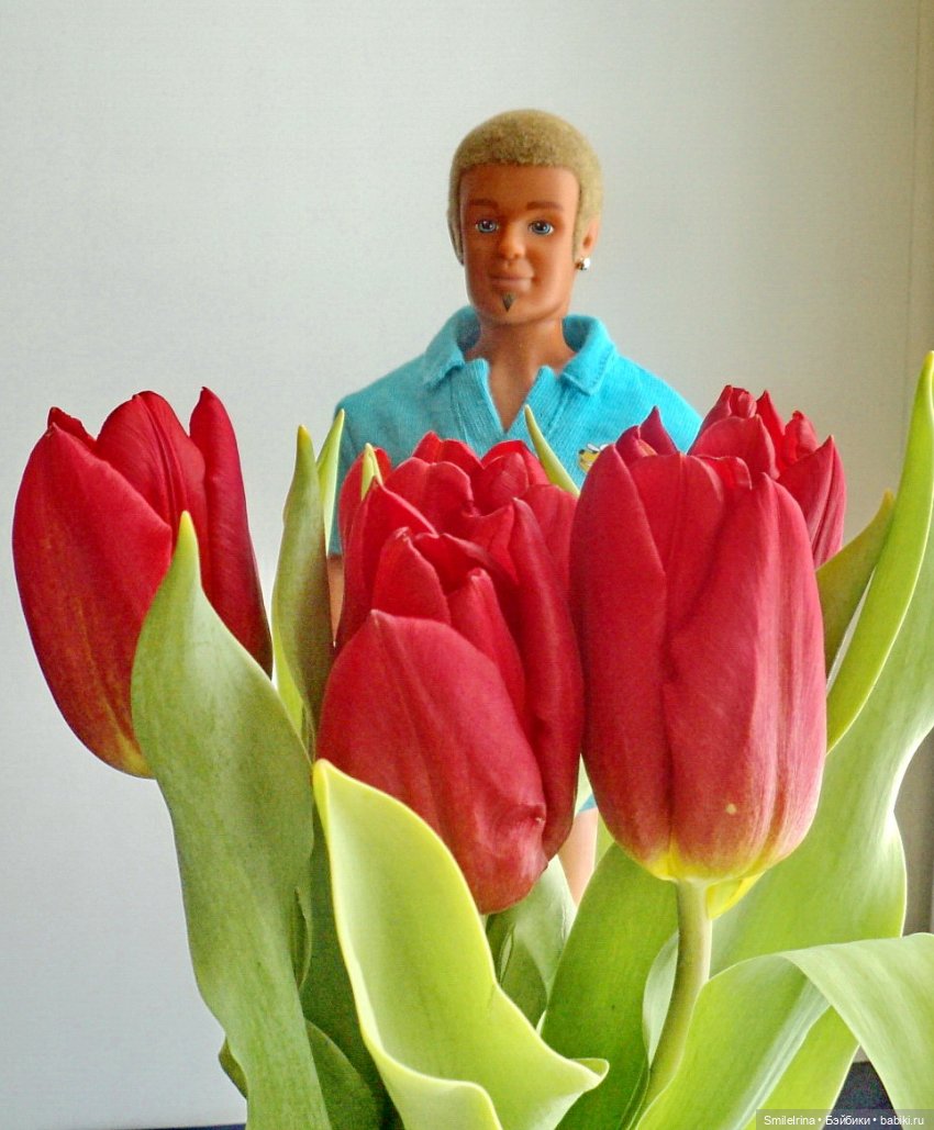 ФотоЧетверг. Тюльпанов букет — весенний привет | Бэйбики ФотоЧетверг. Тюльпанов букет — весенний привет (фото 4)