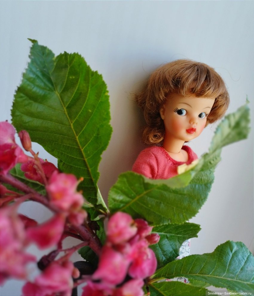 Красавец каштан — Винтажные куклы ГДР (Немки): Бигги (фото 7)