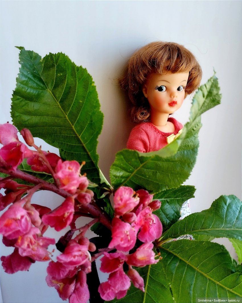 Красавец каштан — Винтажные куклы ГДР (Немки): Бигги (фото 3)