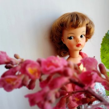 Красавец каштан