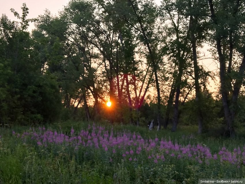 Новая страница. Первый праздник Танюшки