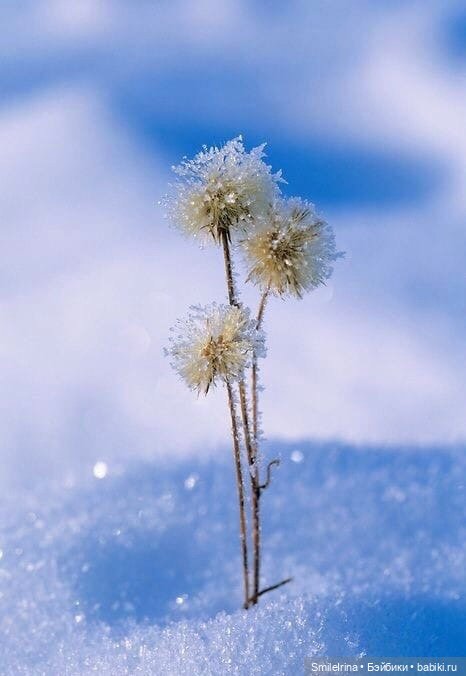 Новая страница. Первый праздник Танюшки