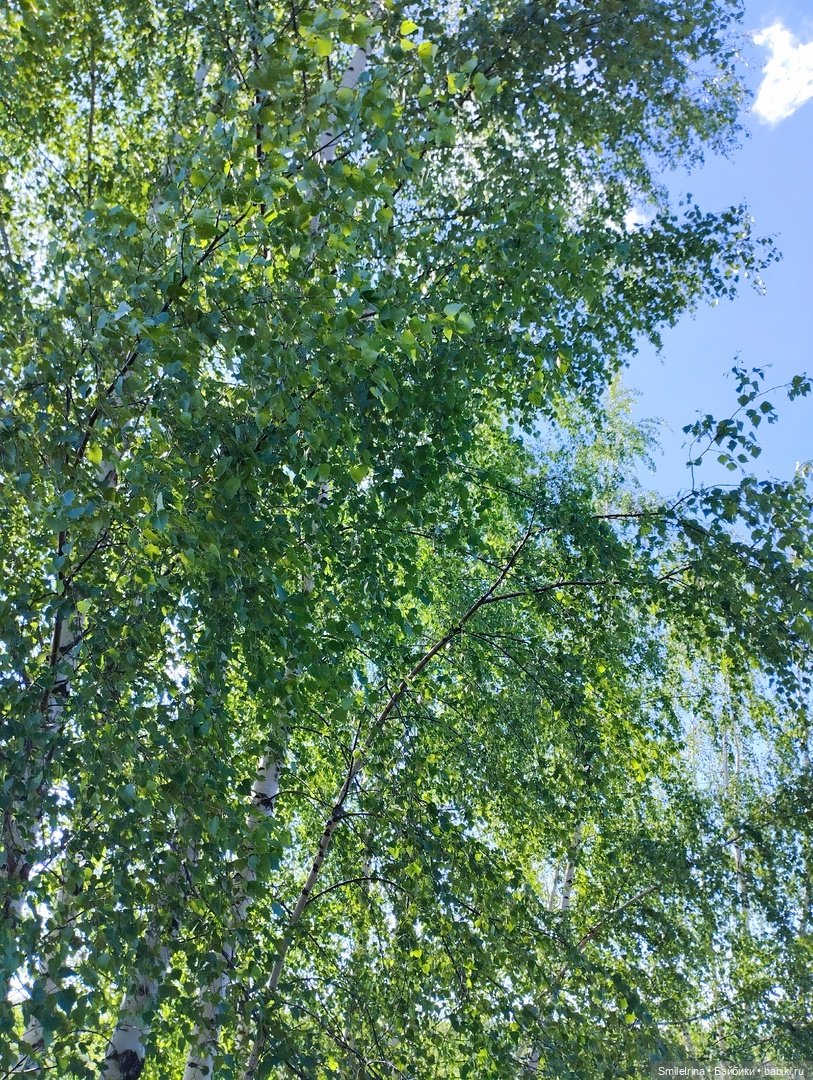 Новая страница. Первый праздник Танюшки