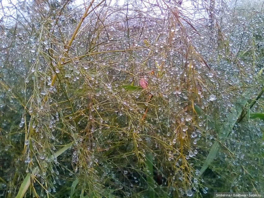 Новая страница. Первый праздник Танюшки