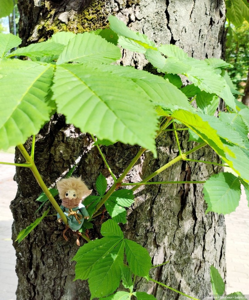 После дождя — Домашние фото авторских игрушек: Тедди (фото 6)