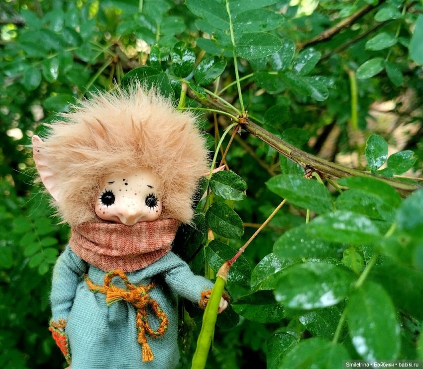 После дождя — Домашние фото авторских игрушек: Тедди