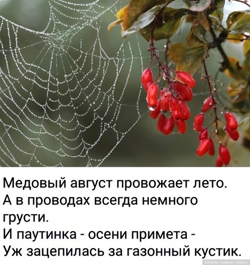 Последний день лета — Азиатские виниловые куклы (разное): Китай (фото 9)