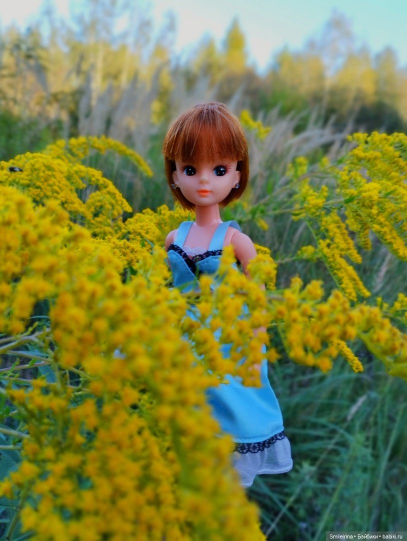 Дюймовочка — Куклы Takara Tomy (Такара): Licca (Ликка) (фото 4)