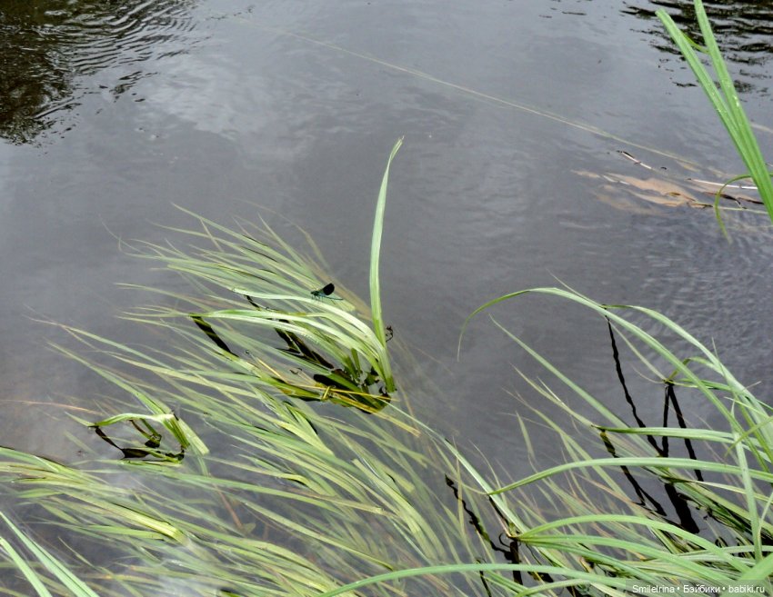 Есенину посвящается — Куклы Mattel (Маттел): Barbie