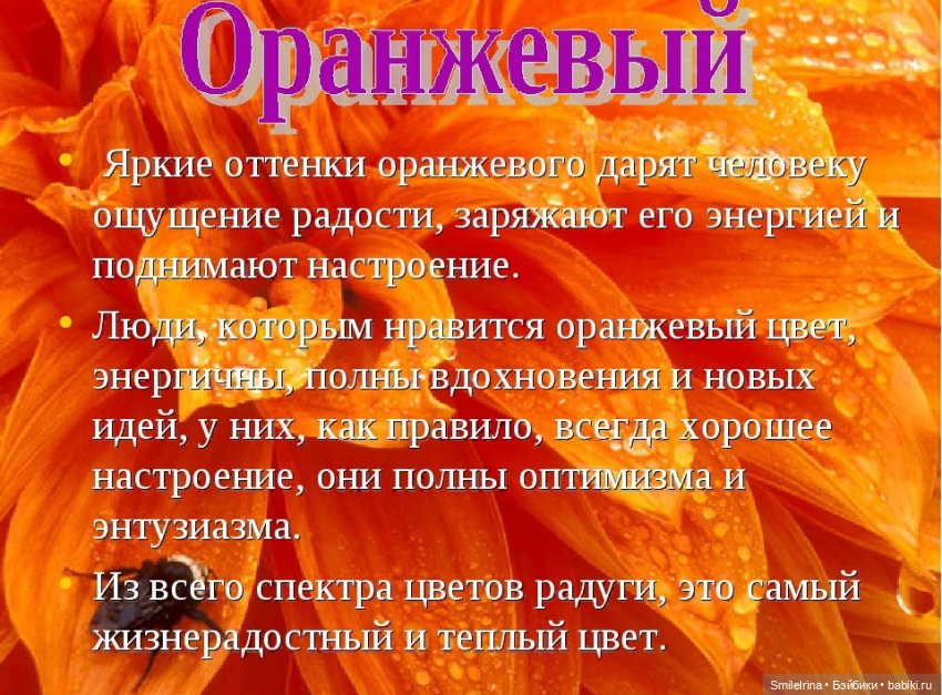 ФотоЧетверг. Оранжевое настроение (фото 2)