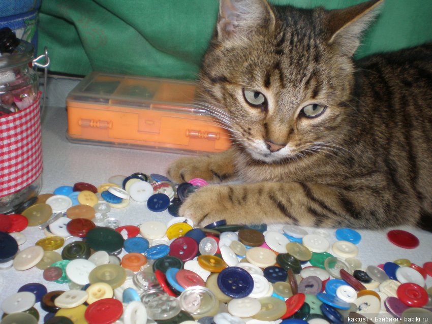 А кто вам помогает в работе | Бэйбики А кто вам помогает в работе