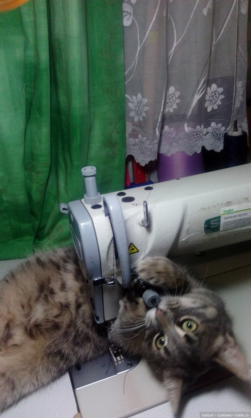 А кто вам помогает в работе | Бэйбики А кто вам помогает в работе (фото 4)