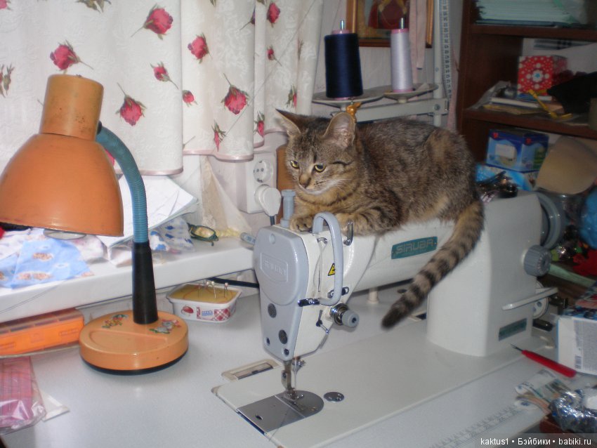 А кто вам помогает в работе | Бэйбики А кто вам помогает в работе (фото 2)