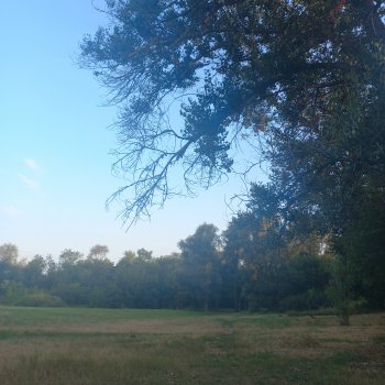 Немного летнего