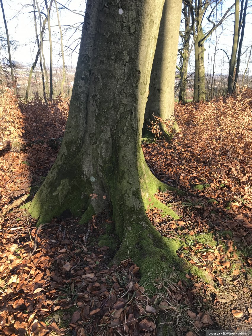 Сказочный лес — Куклы Lori (Лори): Battat