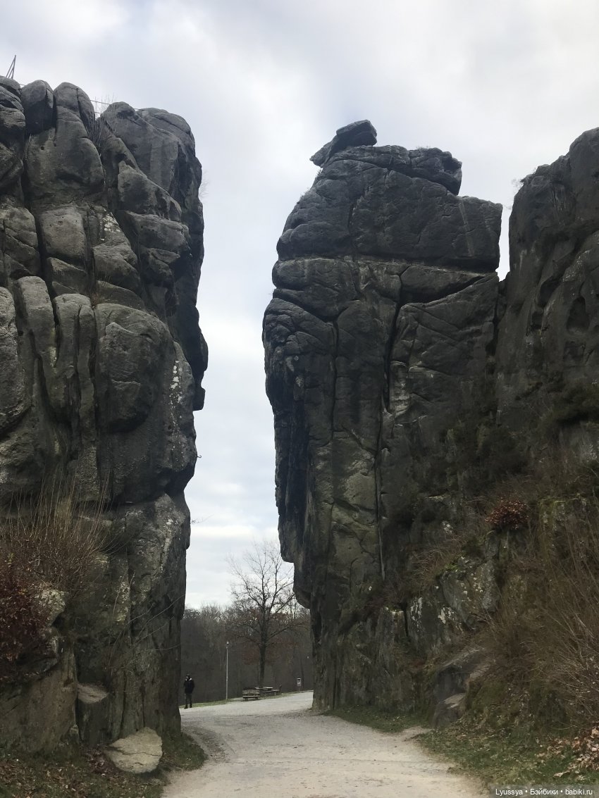 Сказочный лес — Куклы Lori (Лори): Battat