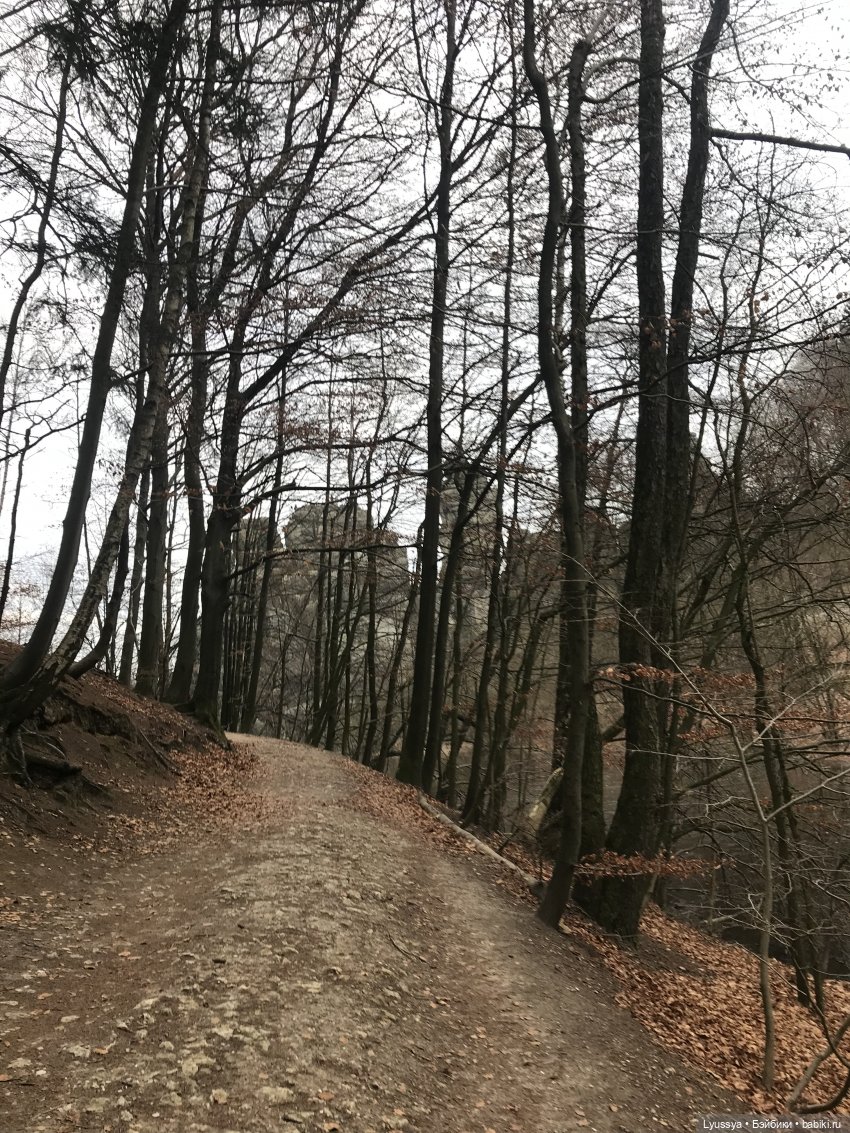 Сказочный лес — Куклы Lori (Лори): Battat