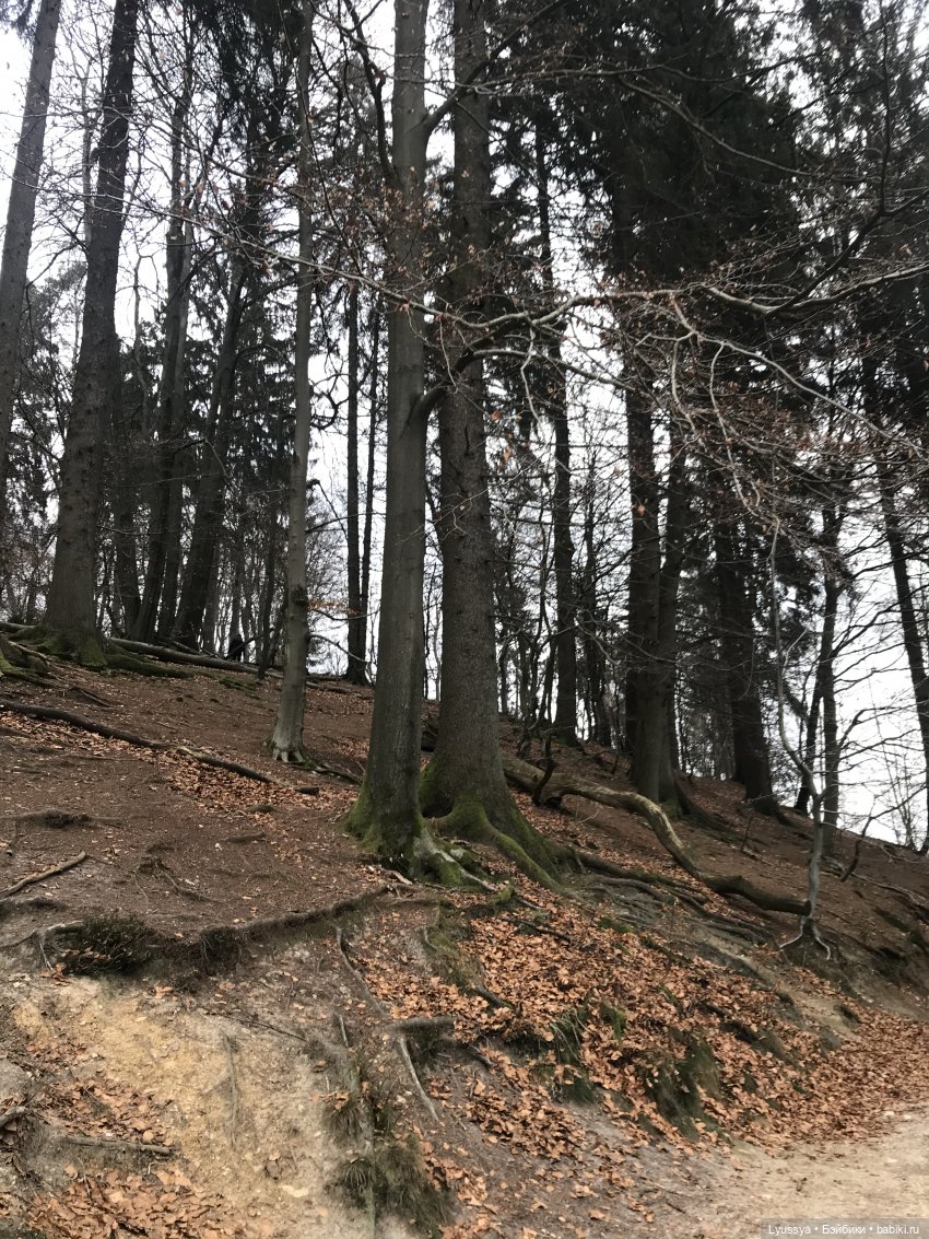 Сказочный лес — Куклы Lori (Лори): Battat