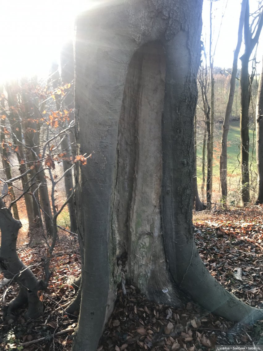 Сказочный лес — Куклы Lori (Лори): Battat