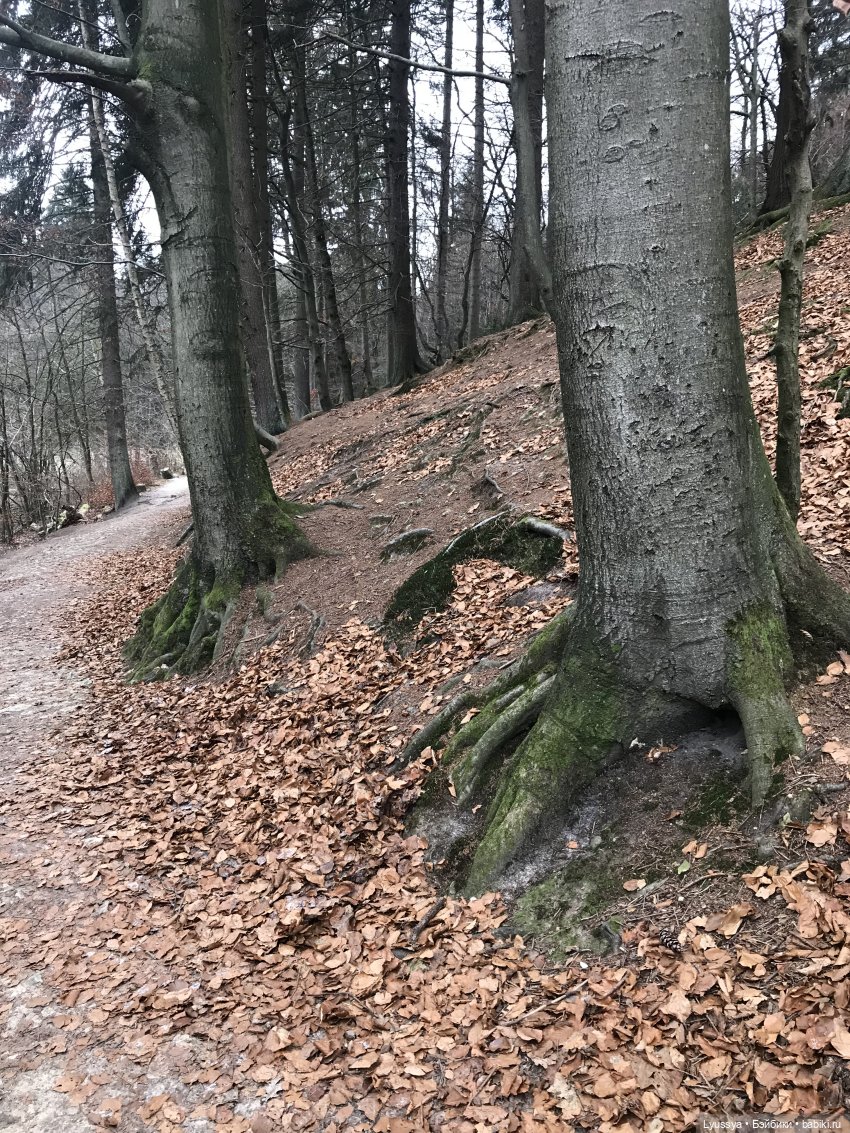 Сказочный лес — Куклы Lori (Лори): Battat