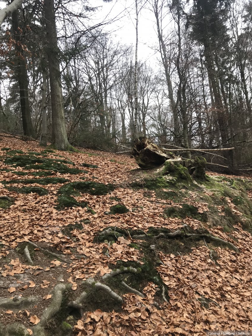 Сказочный лес — Куклы Lori (Лори): Battat