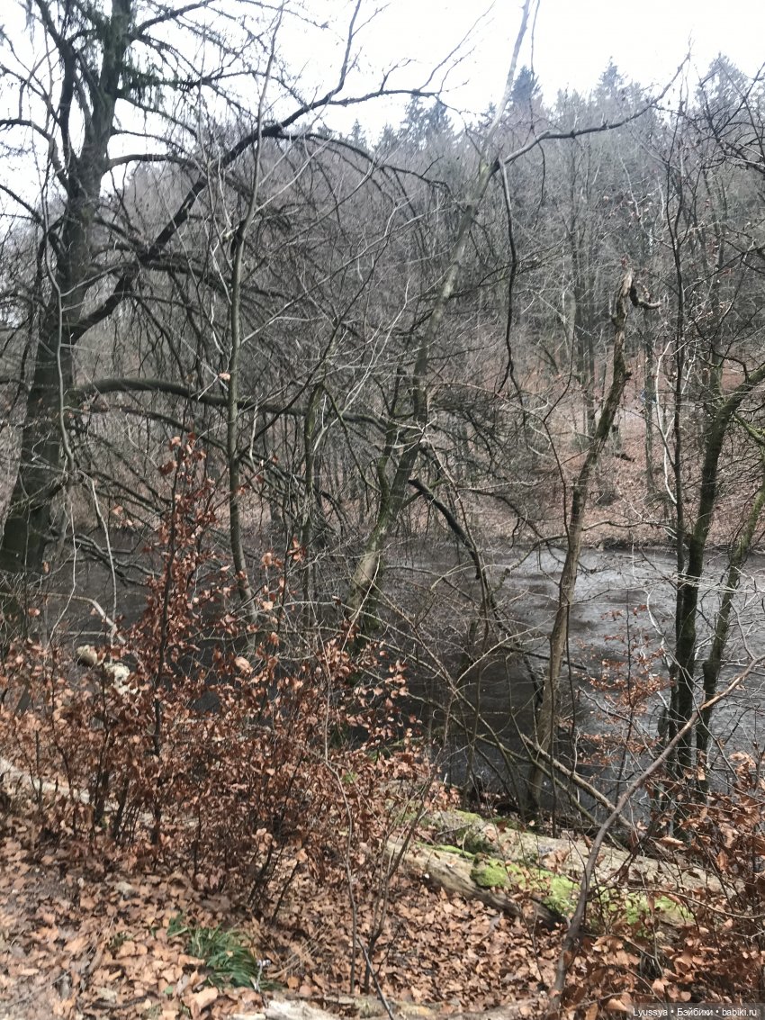 Сказочный лес — Куклы Lori (Лори): Battat